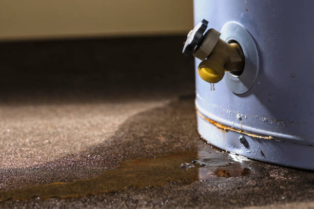 Best Basement water damage restoration  in Cokato, MN