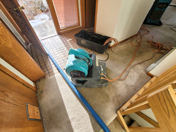 Best Water damage restoration near me  in Cokato, MN