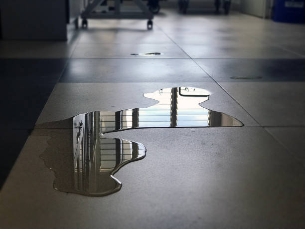 Best Water damage restoration company  in Cokato, MN