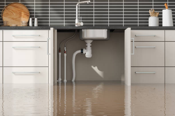 Best Flood damage cleanup  in Cokato, MN